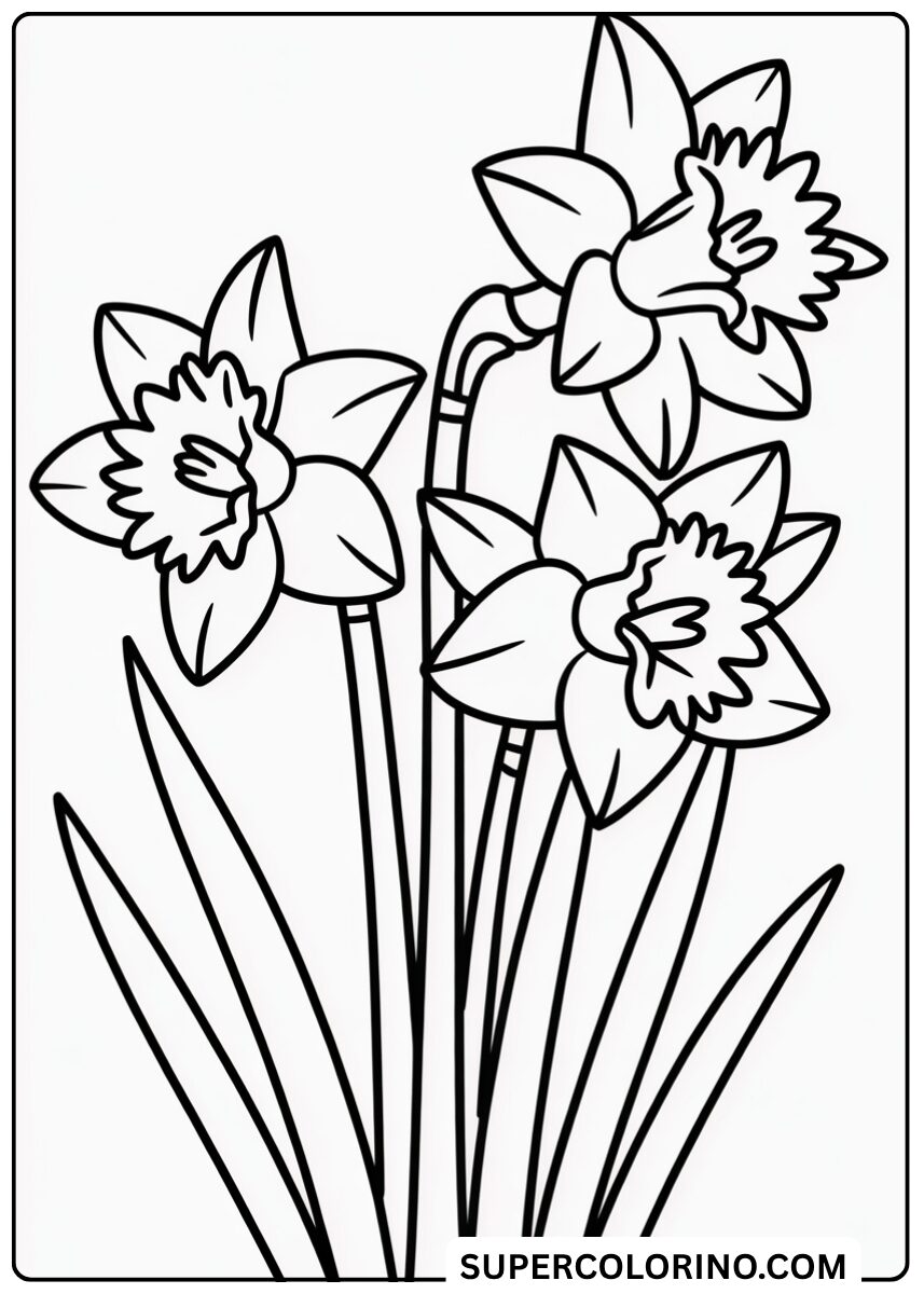 Colora i narcisi di primavera