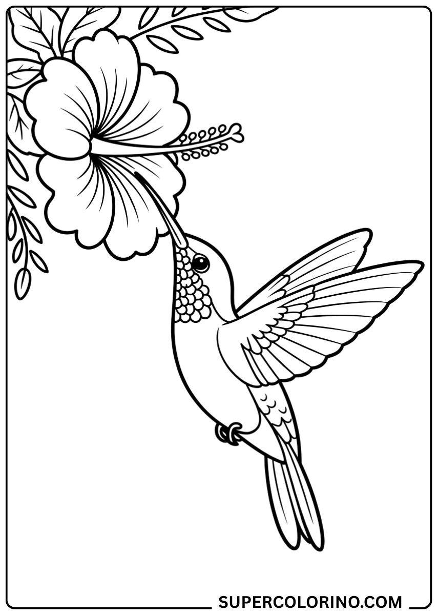 Colora il colibrì e il fiore d’ibisco