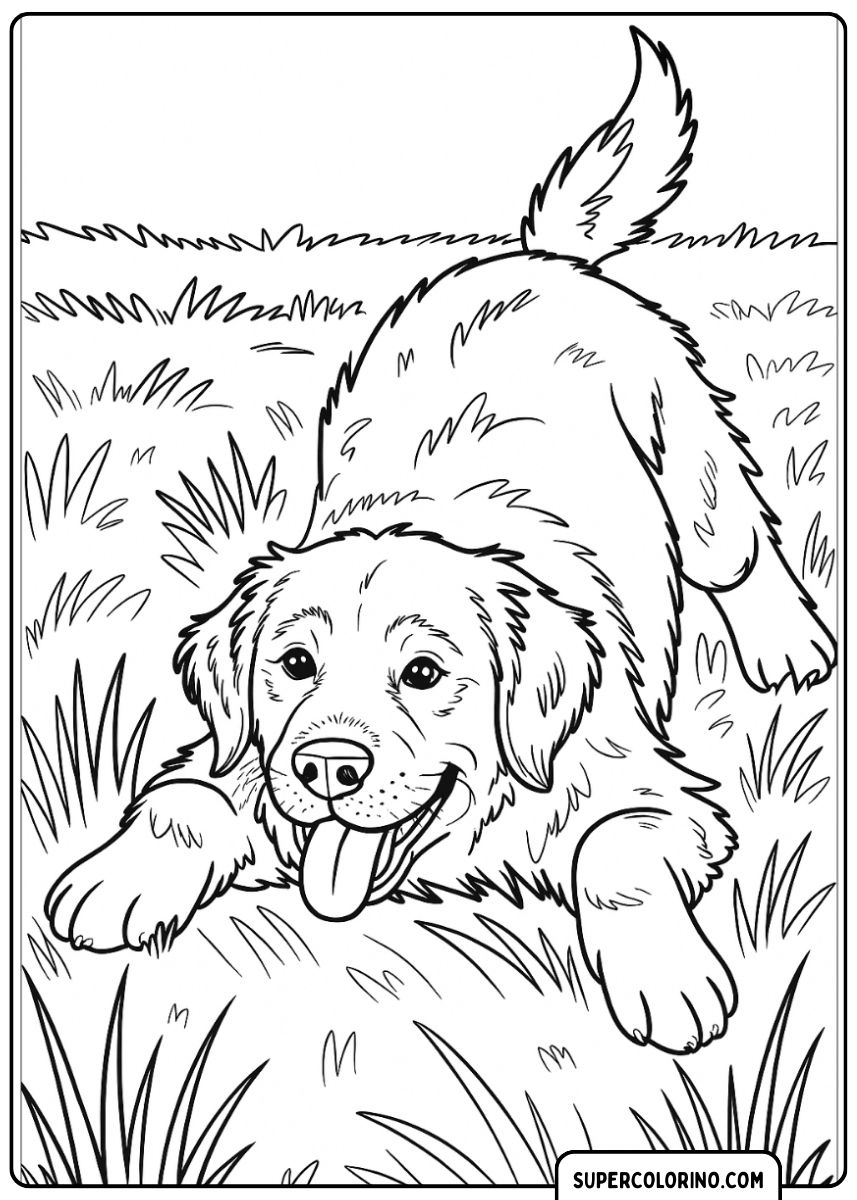 Hund spielt glücklich auf dem grünen Rasen, Malvorlage