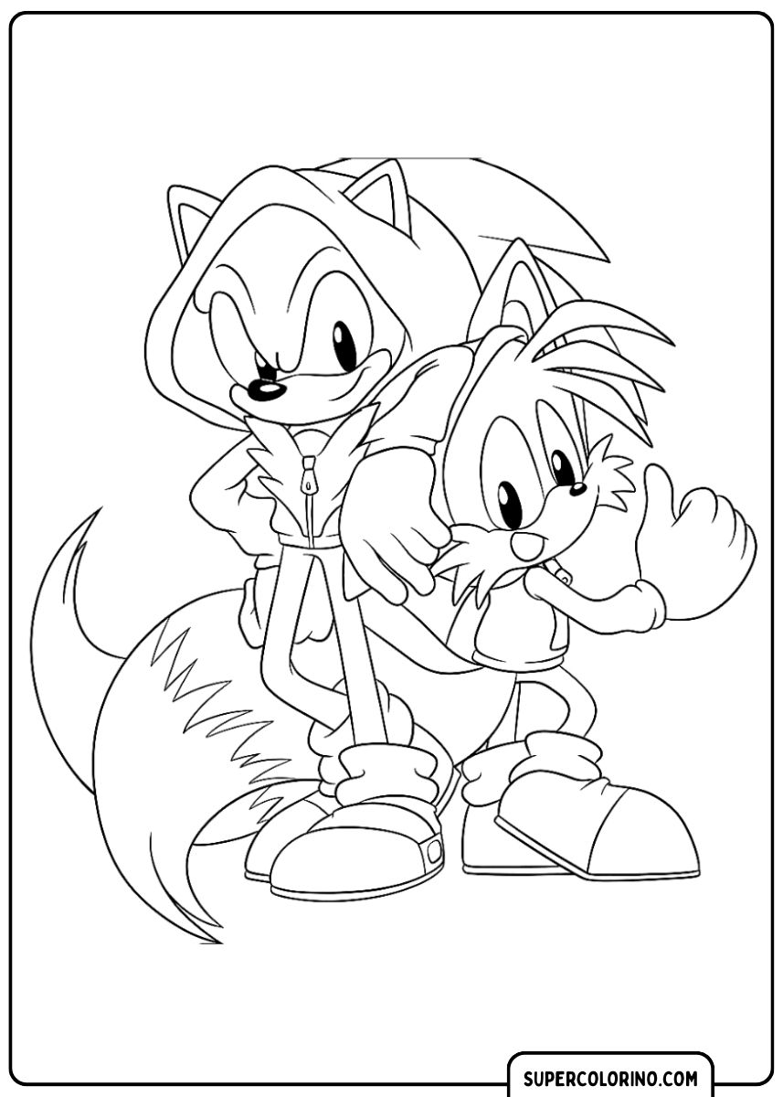 Sonic et Tails prêts pour l'aventure.