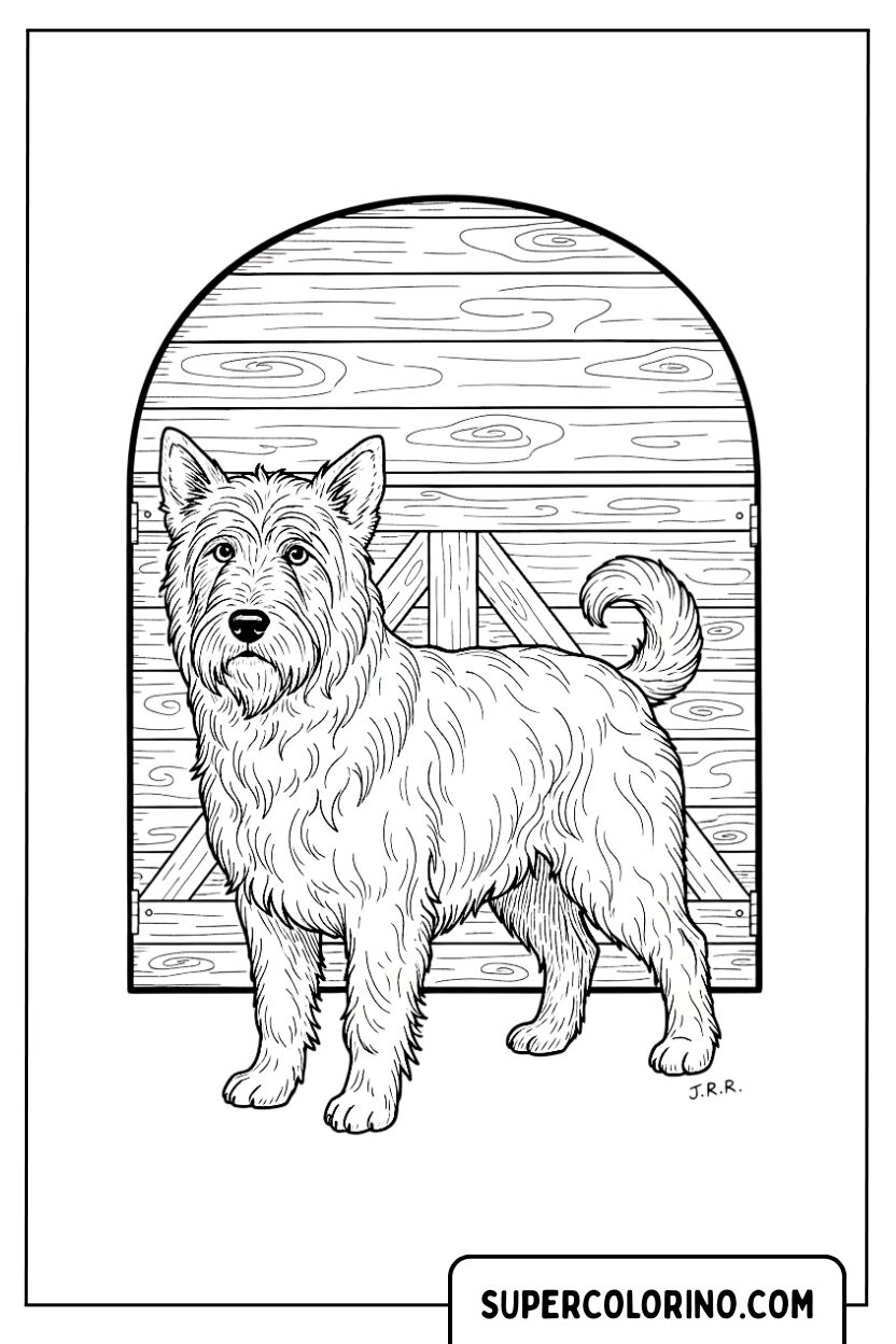 Langhaariger Hund vor dem Zwinger zum Färben