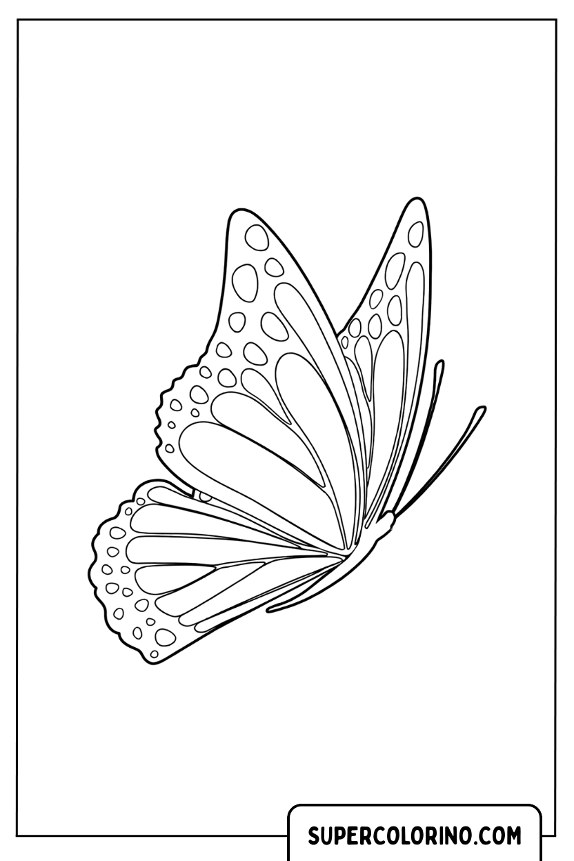 Zijdelingse vlindertekening tussen de eenvoudige ontwerpen om in te kleuren