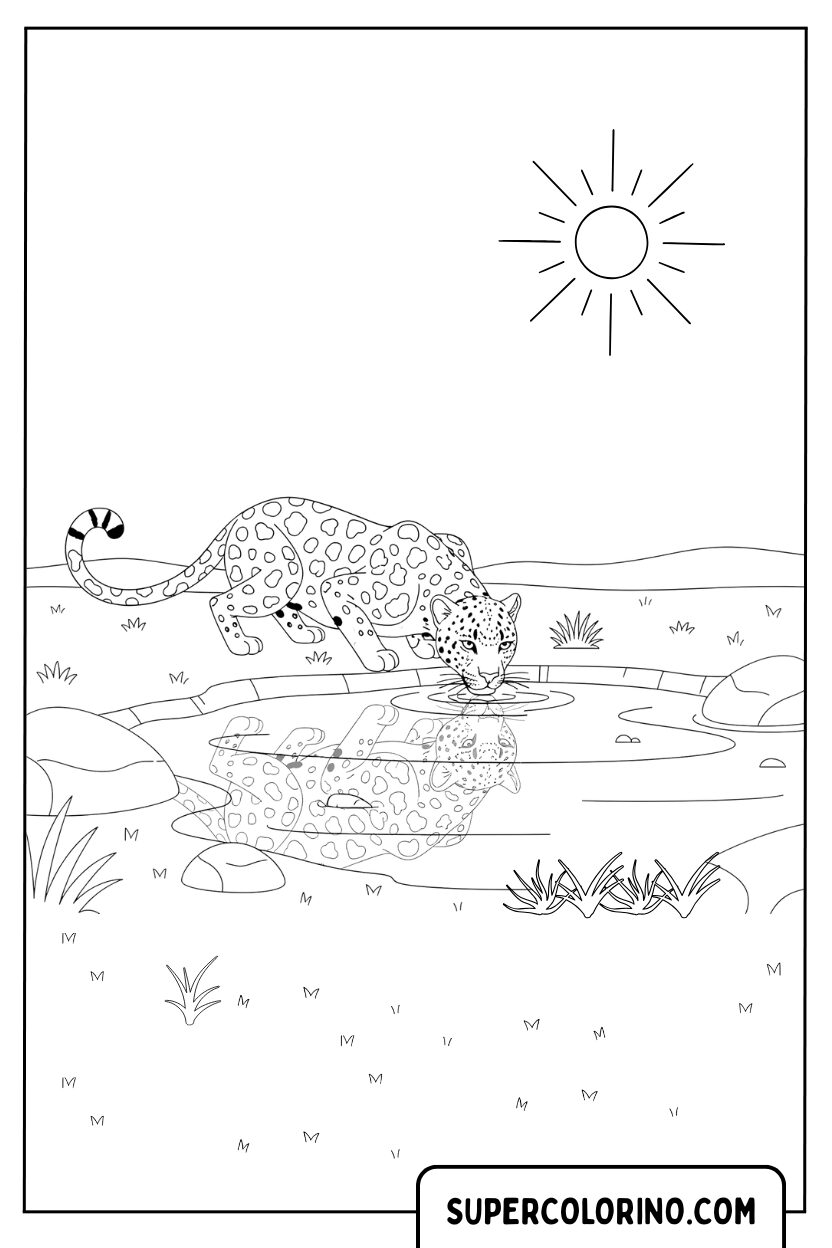Coloriage d'un guépard buvant dans le ruisseau