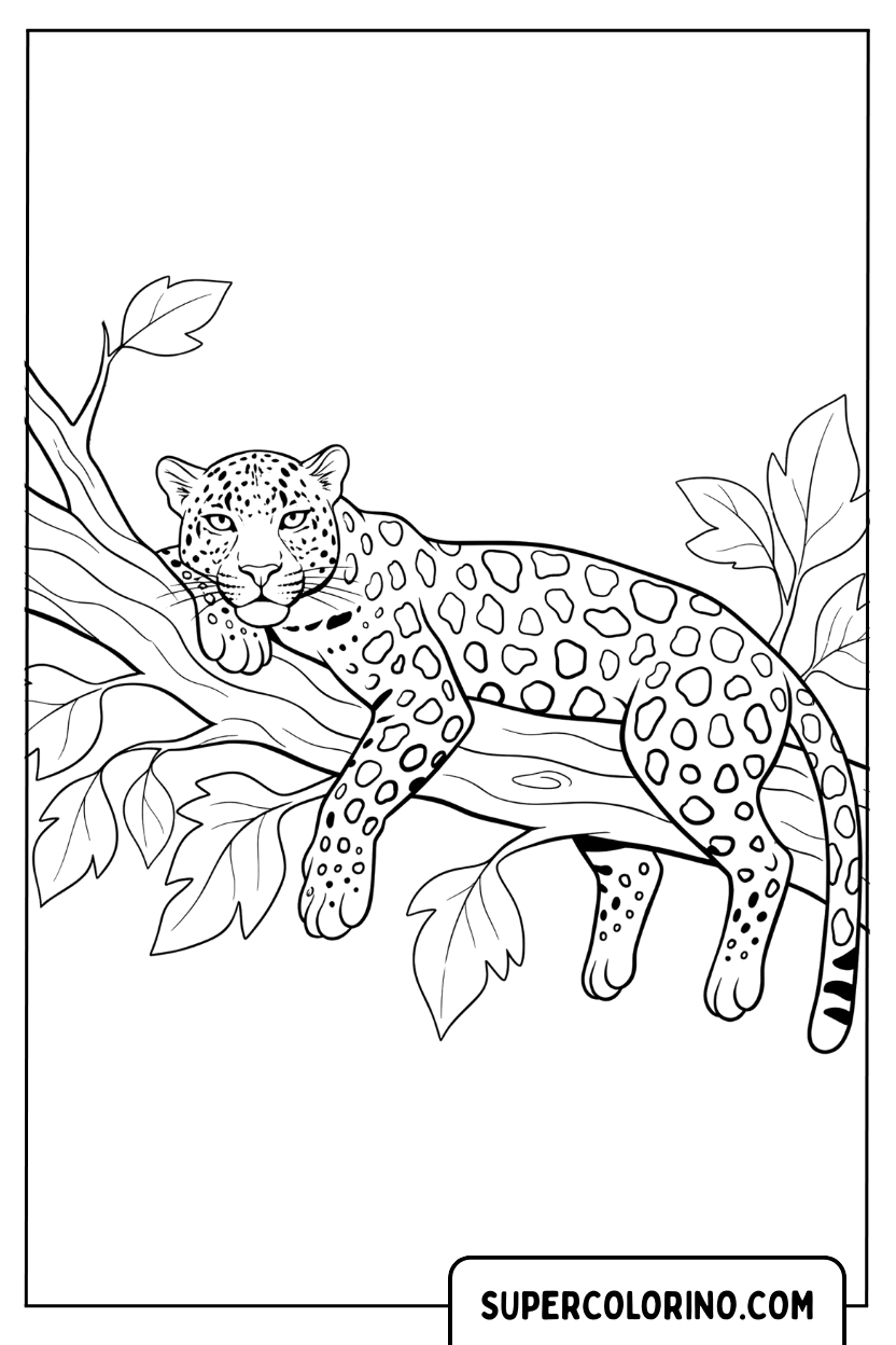 Coloriage d'un guépard allongé sur la branche