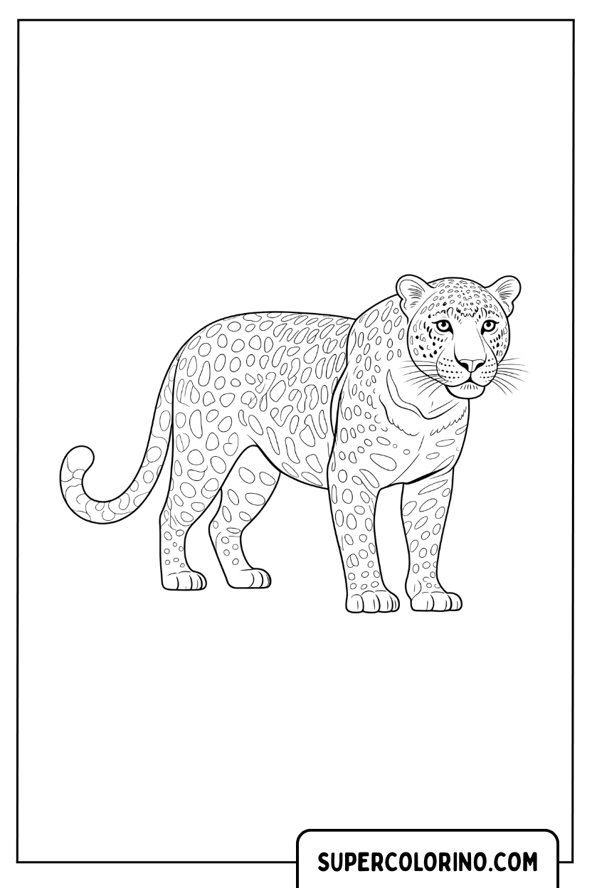 Coloriage d'un guépard debout réaliste