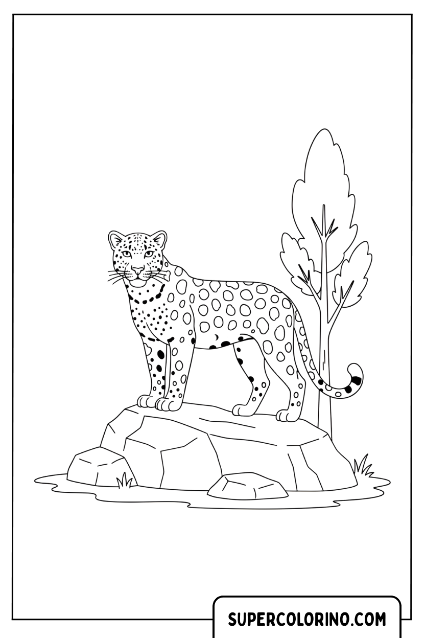 Coloriage d'un guépard sur le rocher