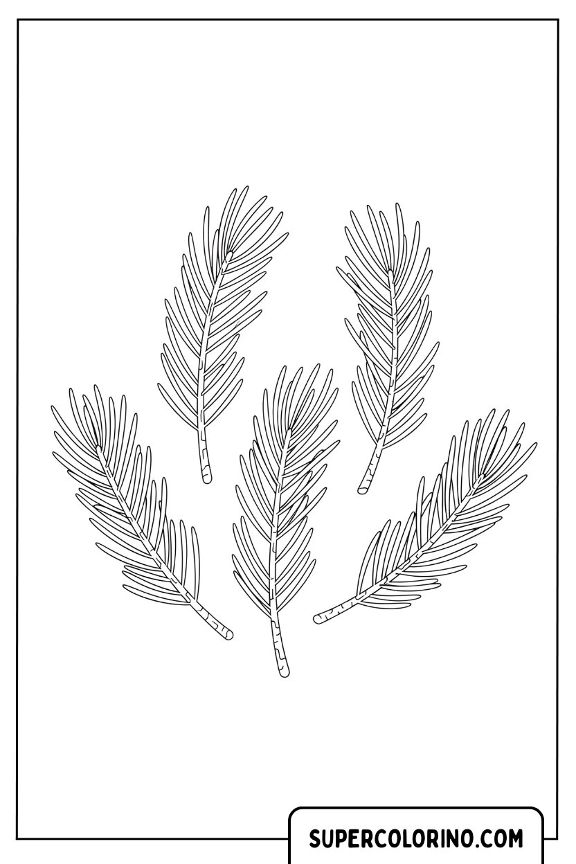 Malvorlage Kiefernzweige