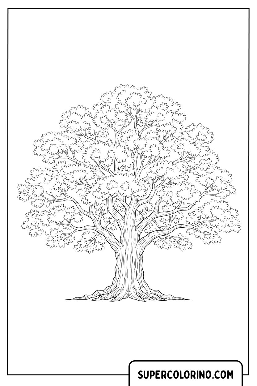 Malvorlage eines großen alten Baumes