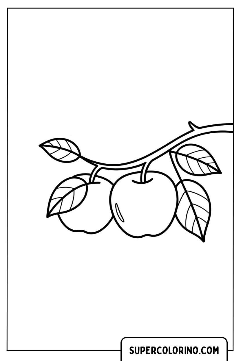 Disegno di un ramo con due mele da colorare