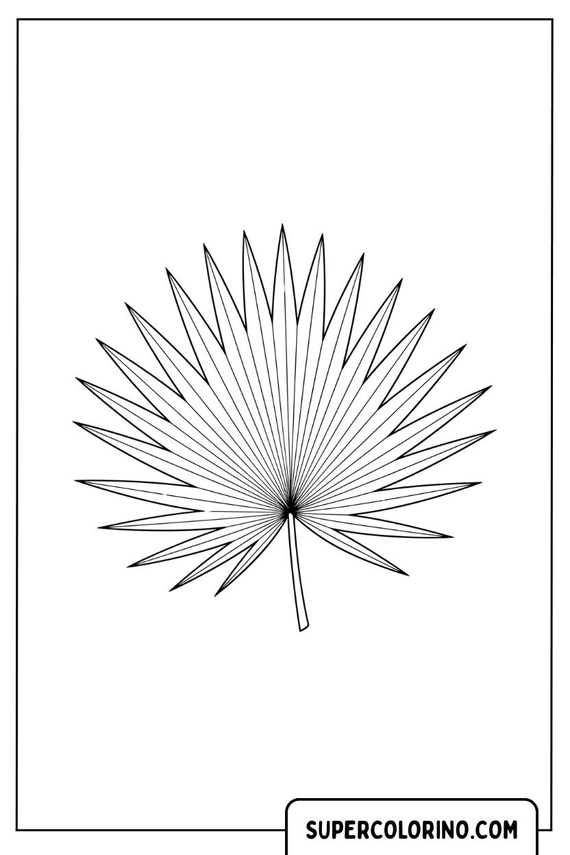 Malvorlage Fächerpalmenblatt