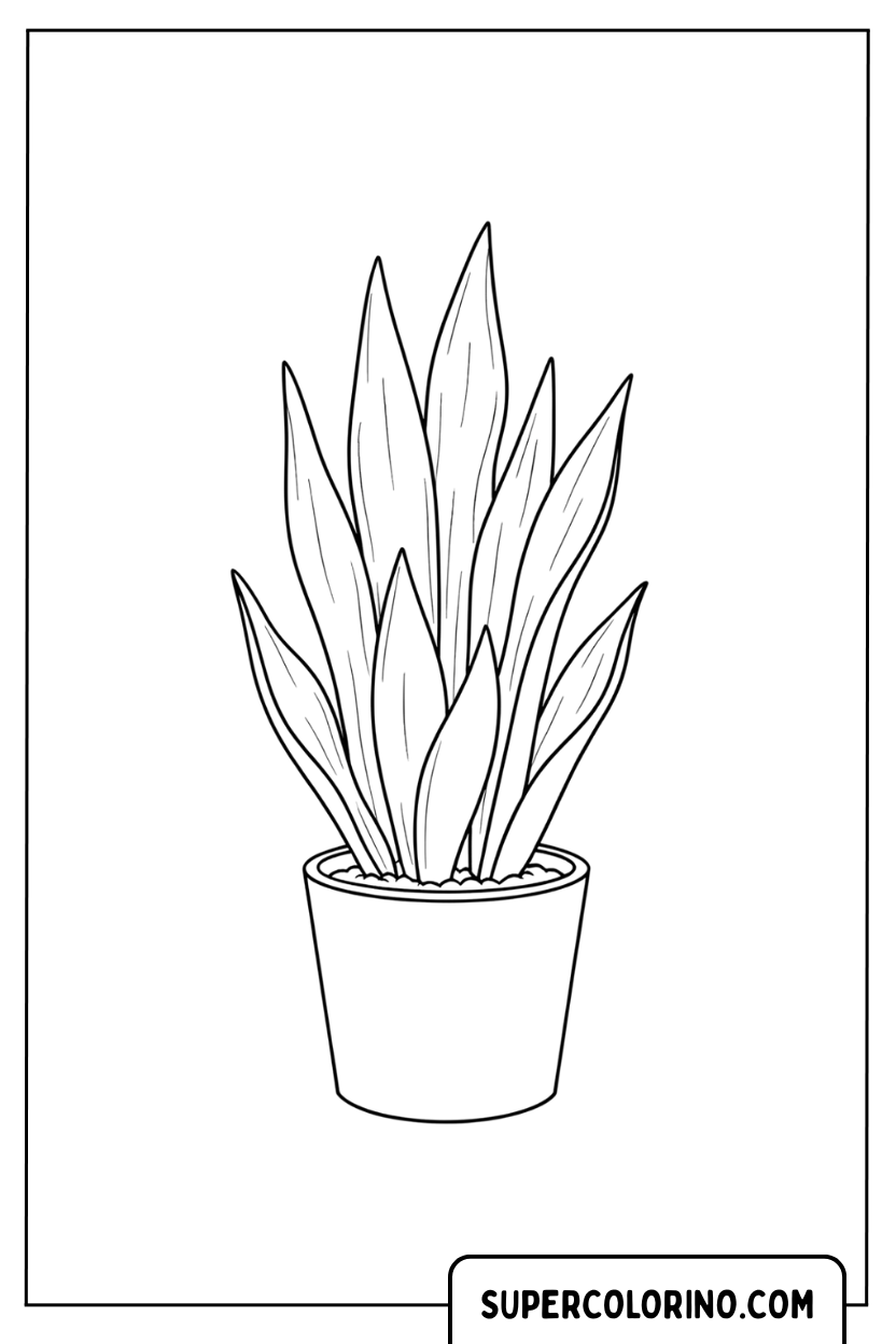 Malvorlage einer Sansevieria-Topfpflanze